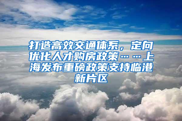 打造高效交通体系，定向优化人才购房政策……上海发布重磅政策支持临港新片区