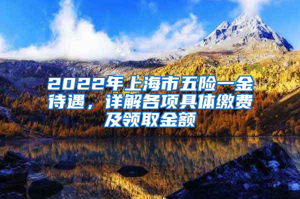 2022年上海市五险一金待遇，详解各项具体缴费及领取金额