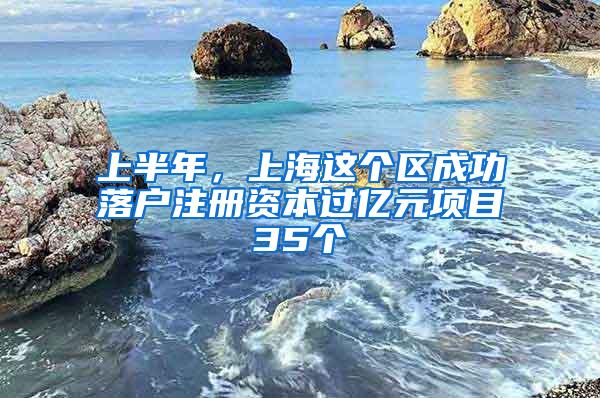 上半年，上海这个区成功落户注册资本过亿元项目35个