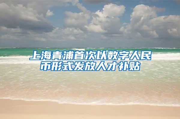 上海青浦首次以数字人民币形式发放人才补贴