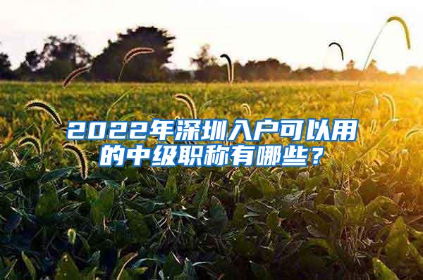 2022年深圳入户可以用的中级职称有哪些？