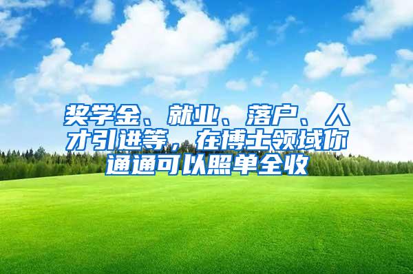 奖学金、就业、落户、人才引进等，在博士领域你通通可以照单全收