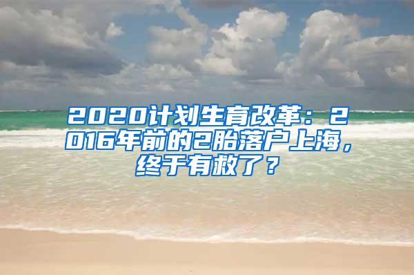 2020计划生育改革：2016年前的2胎落户上海，终于有救了？