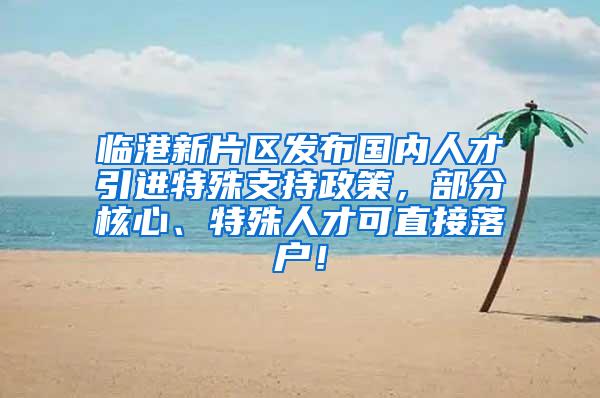 临港新片区发布国内人才引进特殊支持政策，部分核心、特殊人才可直接落户！