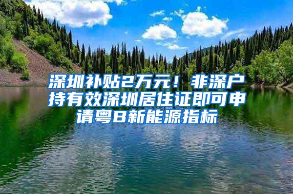 深圳补贴2万元！非深户持有效深圳居住证即可申请粤B新能源指标