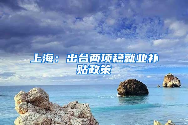 上海：出台两项稳就业补贴政策