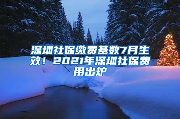 深圳社保缴费基数7月生效！2021年深圳社保费用出炉