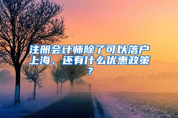 注册会计师除了可以落户上海，还有什么优惠政策？