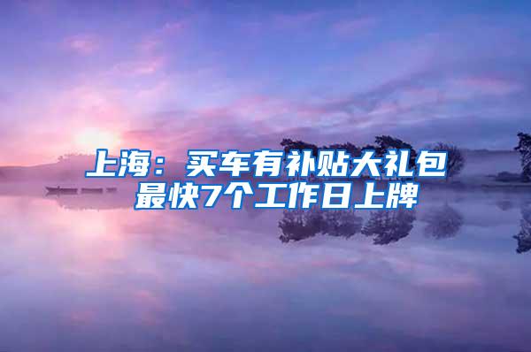 上海：买车有补贴大礼包 最快7个工作日上牌