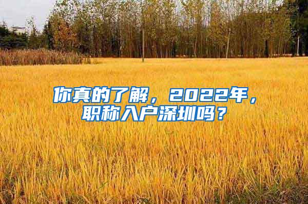 你真的了解，2022年，职称入户深圳吗？