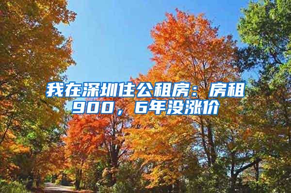 我在深圳住公租房：房租900，6年没涨价