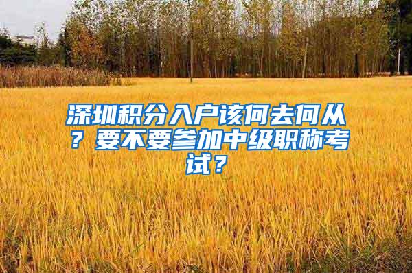 深圳积分入户该何去何从？要不要参加中级职称考试？