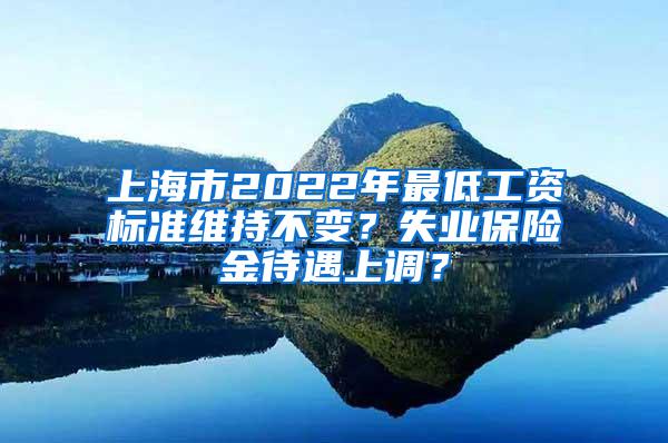 上海市2022年最低工资标准维持不变？失业保险金待遇上调？