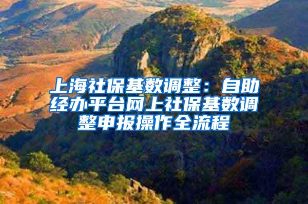 上海社保基数调整：自助经办平台网上社保基数调整申报操作全流程