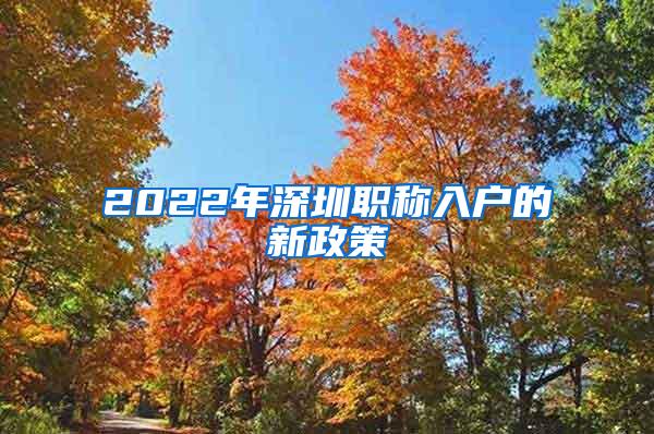 2022年深圳职称入户的新政策