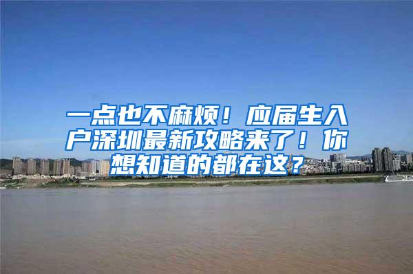 一点也不麻烦！应届生入户深圳最新攻略来了！你想知道的都在这？