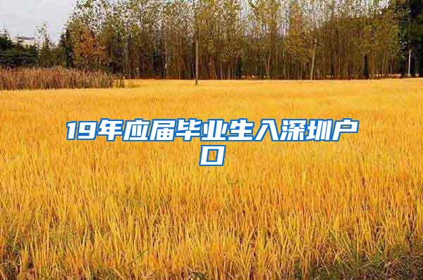 19年应届毕业生入深圳户口