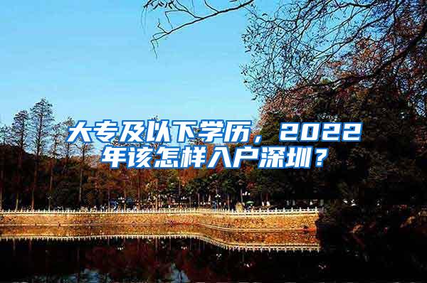 大专及以下学历，2022年该怎样入户深圳？