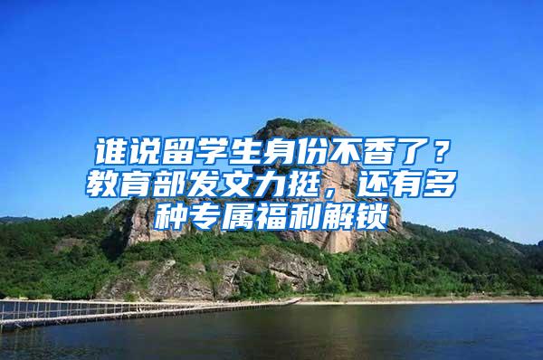 谁说留学生身份不香了？教育部发文力挺，还有多种专属福利解锁