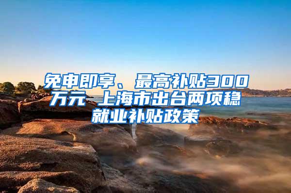 免申即享、最高补贴300万元 上海市出台两项稳就业补贴政策