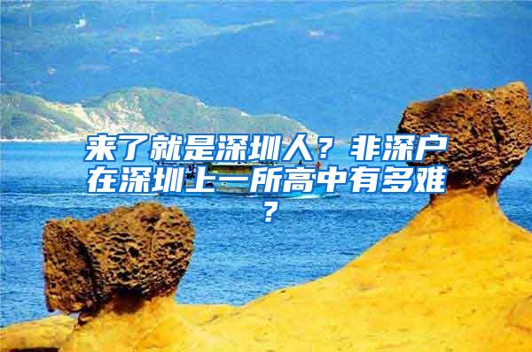 来了就是深圳人？非深户在深圳上一所高中有多难？