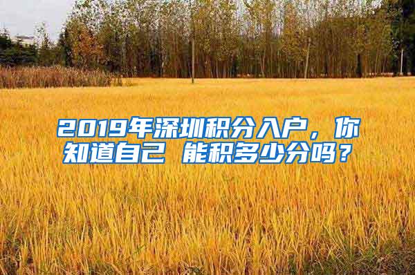 2019年深圳积分入户，你知道自己 能积多少分吗？