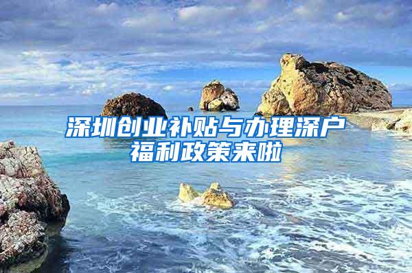 深圳创业补贴与办理深户福利政策来啦