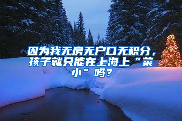 因为我无房无户口无积分，孩子就只能在上海上“菜小”吗？