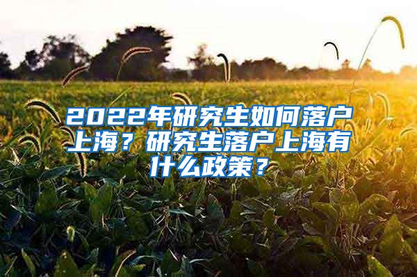 2022年研究生如何落户上海？研究生落户上海有什么政策？