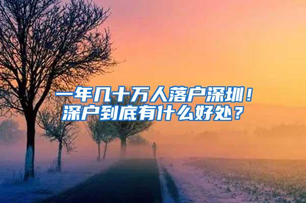 一年几十万人落户深圳！深户到底有什么好处？