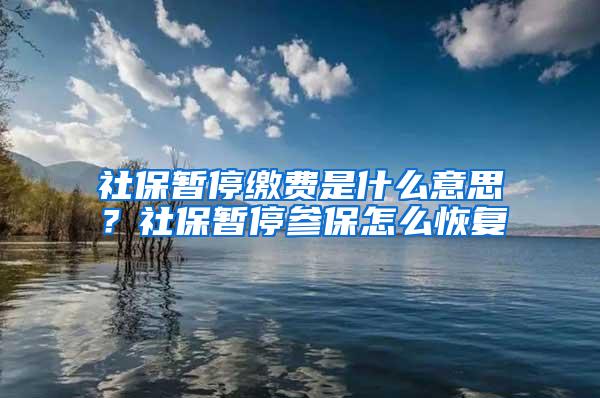 社保暂停缴费是什么意思？社保暂停参保怎么恢复