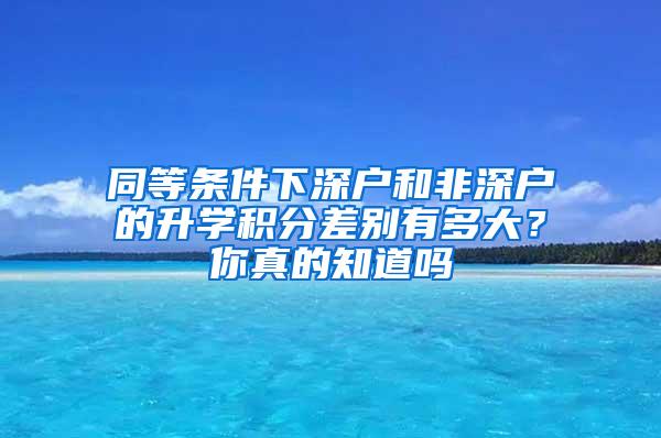 同等条件下深户和非深户的升学积分差别有多大？你真的知道吗