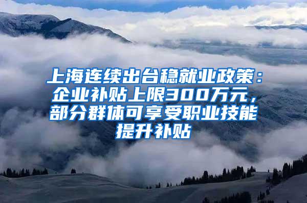 上海连续出台稳就业政策：企业补贴上限300万元，部分群体可享受职业技能提升补贴