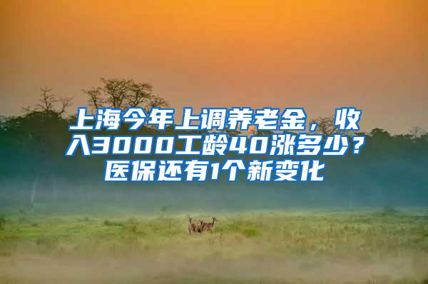 上海今年上调养老金，收入3000工龄40涨多少？医保还有1个新变化