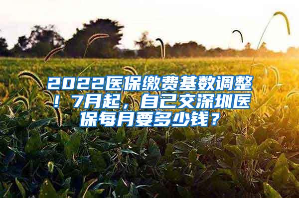 2022医保缴费基数调整！7月起，自己交深圳医保每月要多少钱？