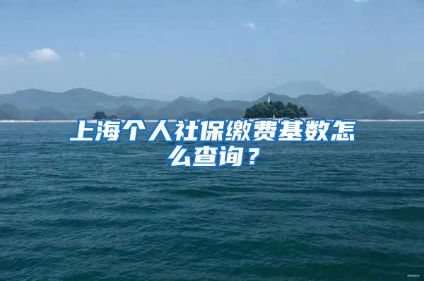 上海个人社保缴费基数怎么查询？