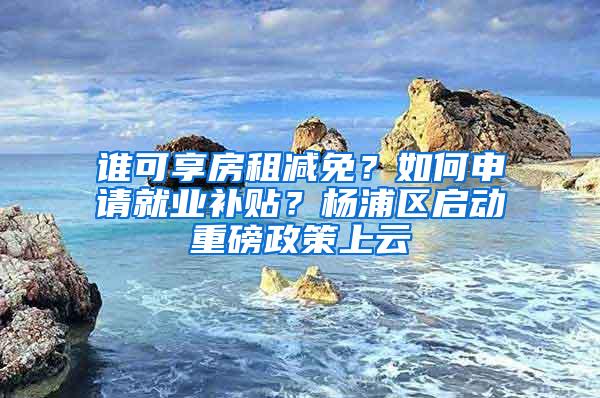 谁可享房租减免？如何申请就业补贴？杨浦区启动重磅政策上云