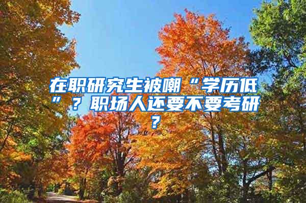 在职研究生被嘲“学历低”？职场人还要不要考研？