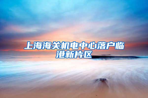 上海海关机电中心落户临港新片区