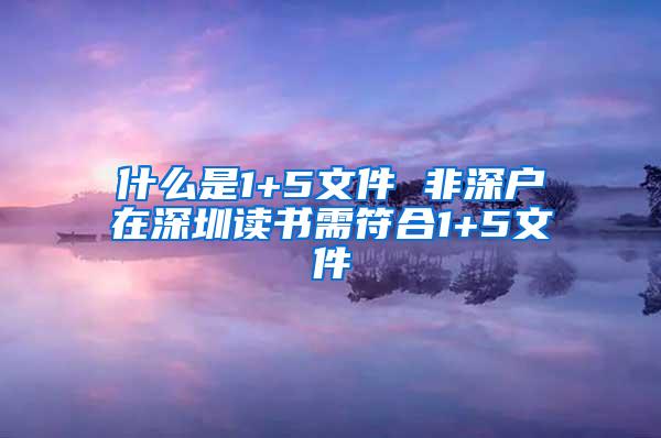 什么是1+5文件 非深户在深圳读书需符合1+5文件