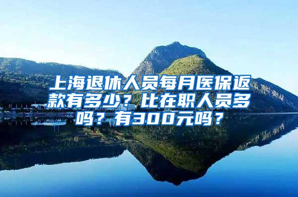 上海退休人员每月医保返款有多少？比在职人员多吗？有300元吗？