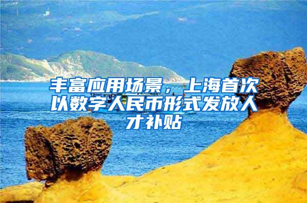 丰富应用场景，上海首次以数字人民币形式发放人才补贴