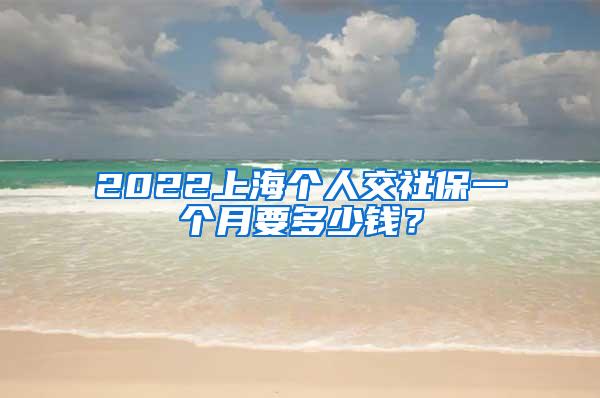 2022上海个人交社保一个月要多少钱？