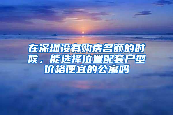 在深圳没有购房名额的时候，能选择位置配套户型价格便宜的公寓吗