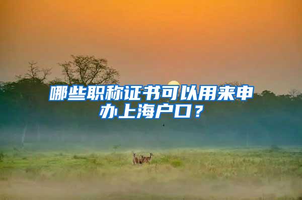 哪些职称证书可以用来申办上海户口？