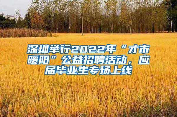 深圳举行2022年“才市暖阳”公益招聘活动，应届毕业生专场上线