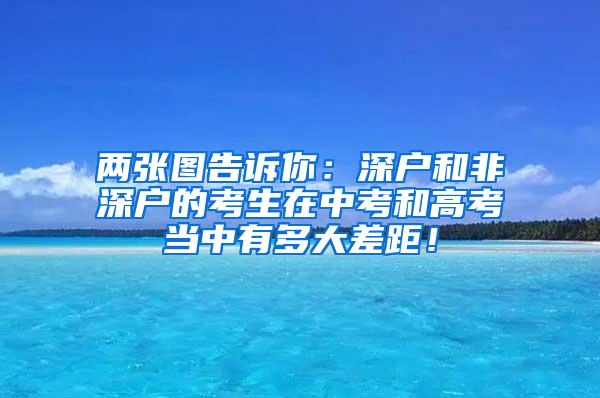 两张图告诉你：深户和非深户的考生在中考和高考当中有多大差距！