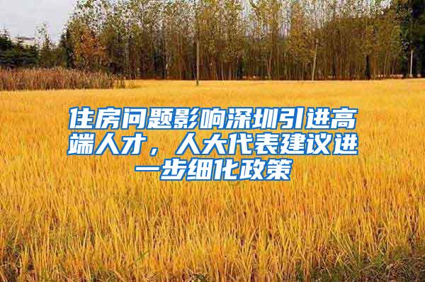 住房问题影响深圳引进高端人才，人大代表建议进一步细化政策