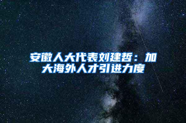 安徽人大代表刘建哲：加大海外人才引进力度