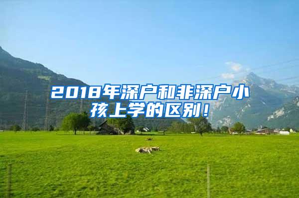 2018年深户和非深户小孩上学的区别！